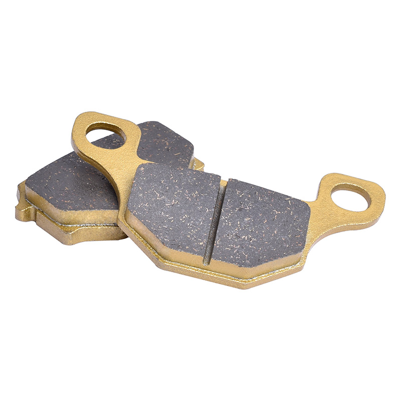 Remblokken voor en achter voor - Brake Pads Bike recensie en prijs